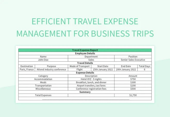 Efficient Travel Expense Management For Business Trips Excel Template ...